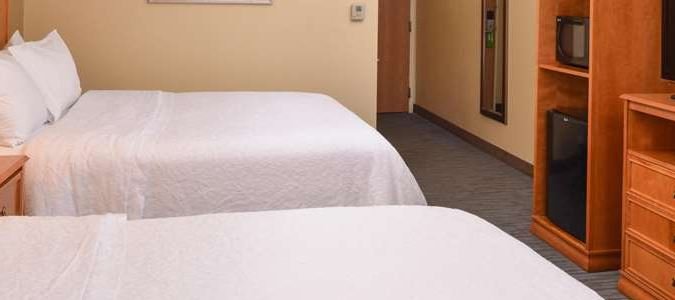 Фото Hampton Inn & Suites Tampa East