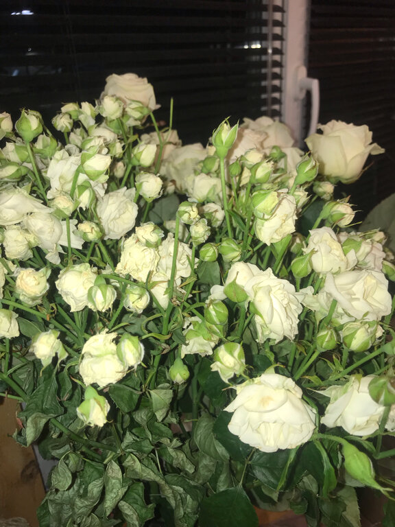 Flower shop Лазаревское Цветочный, Yaroslavl, photo