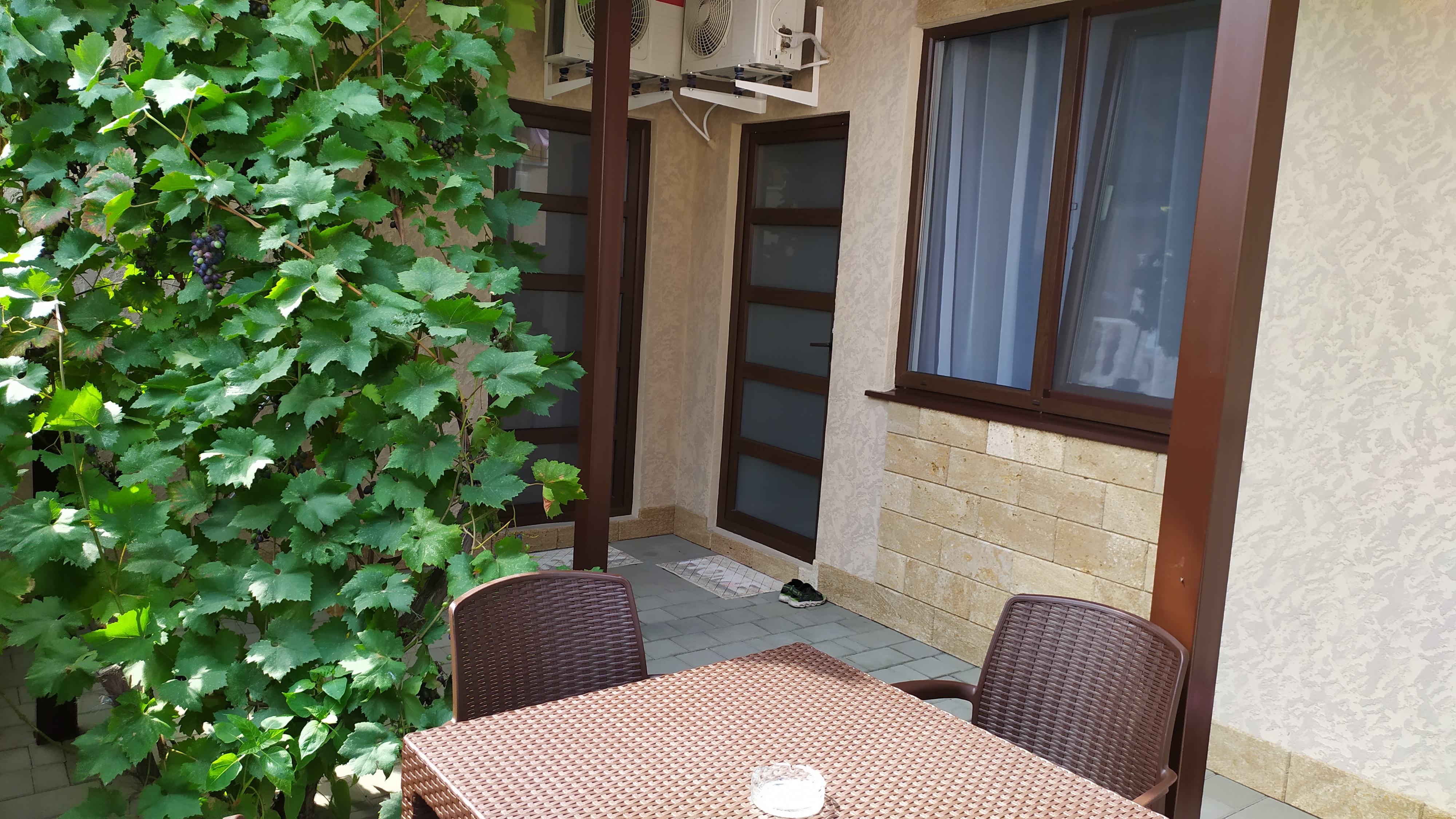 Фото Хельга у моря