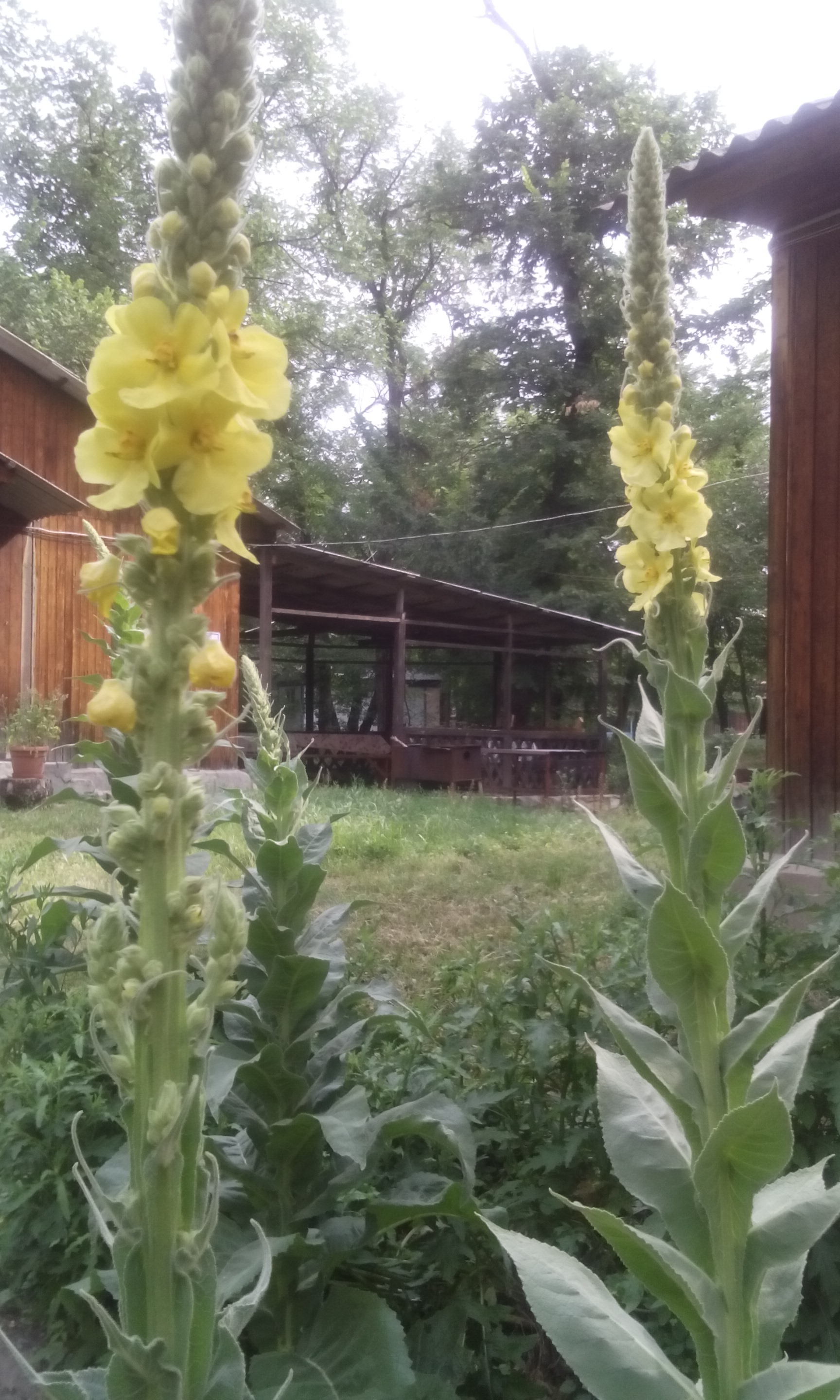 Фото Автомобилист