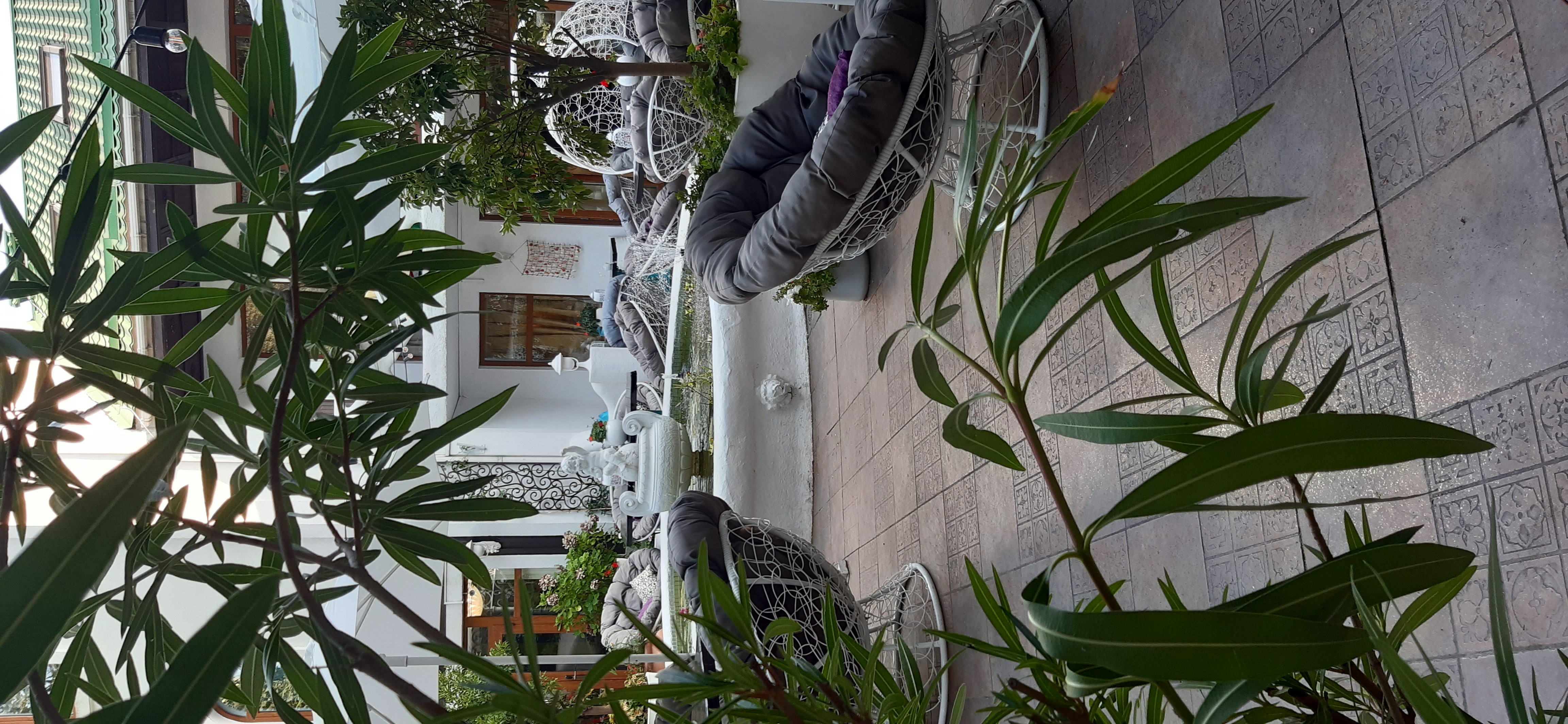 Фото Маре Неро