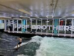 Surf Brothers (Большой бул., 40, Западный административный округ, Можайский район, Инновационный центр Сколково, Москва), сёрфинг в Москве