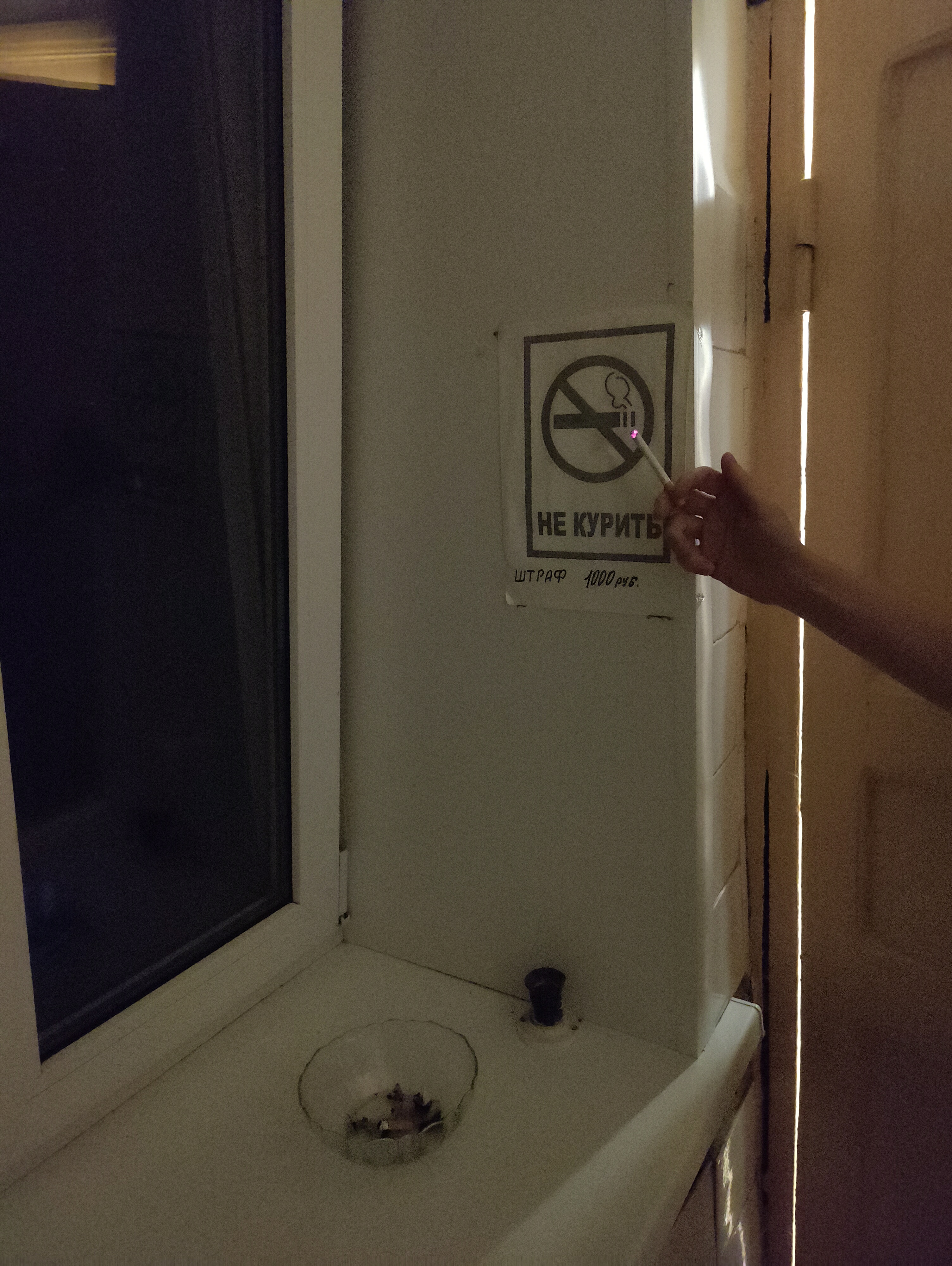 Фото Базилик