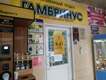 Гамбринус (ул. Коммунаров, 313), магазин пива в Ижевске