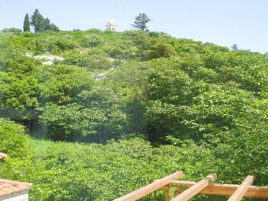 Фото Apartments Silvija