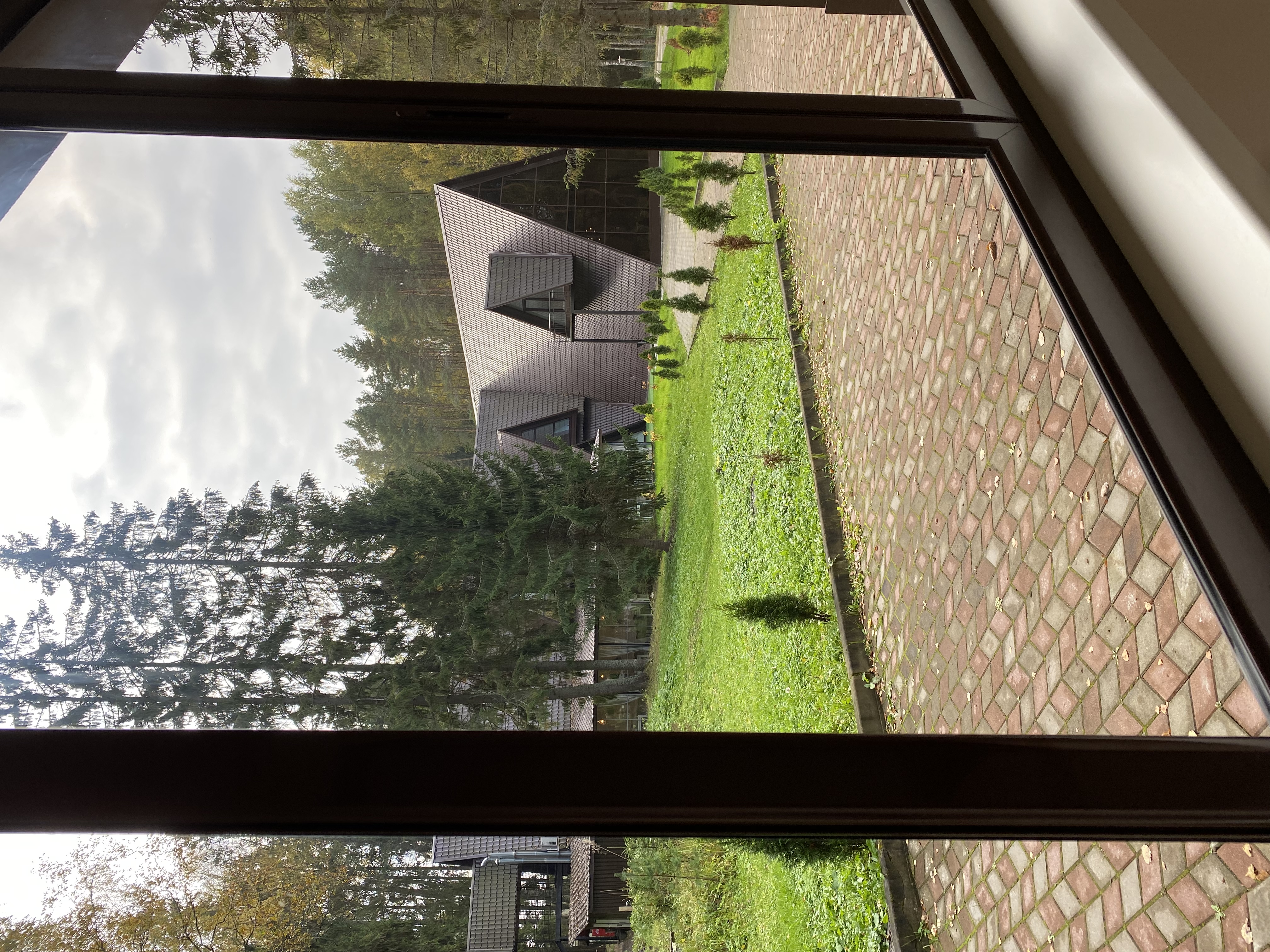 Фото Парк Звёзд