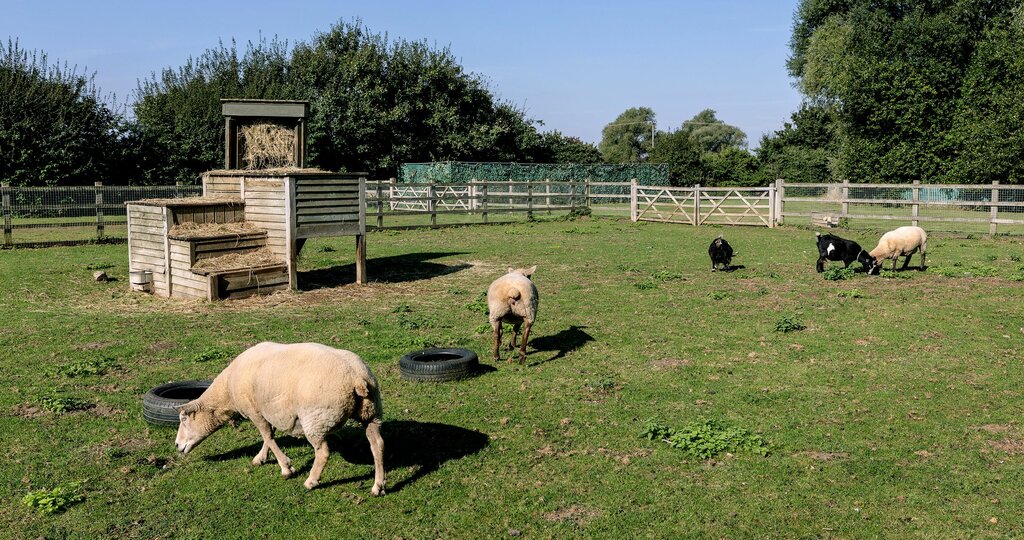 Kindergarten, nursery Busy Bees Cambridge Westwick, England, photo