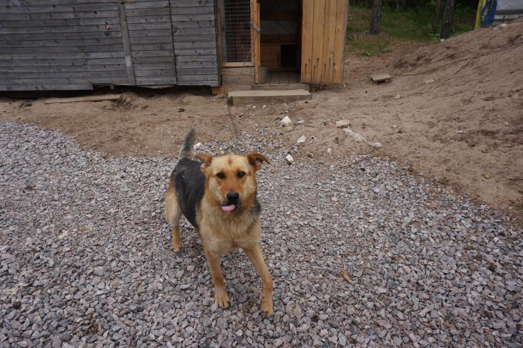 Фото Усадьба на Шамокше