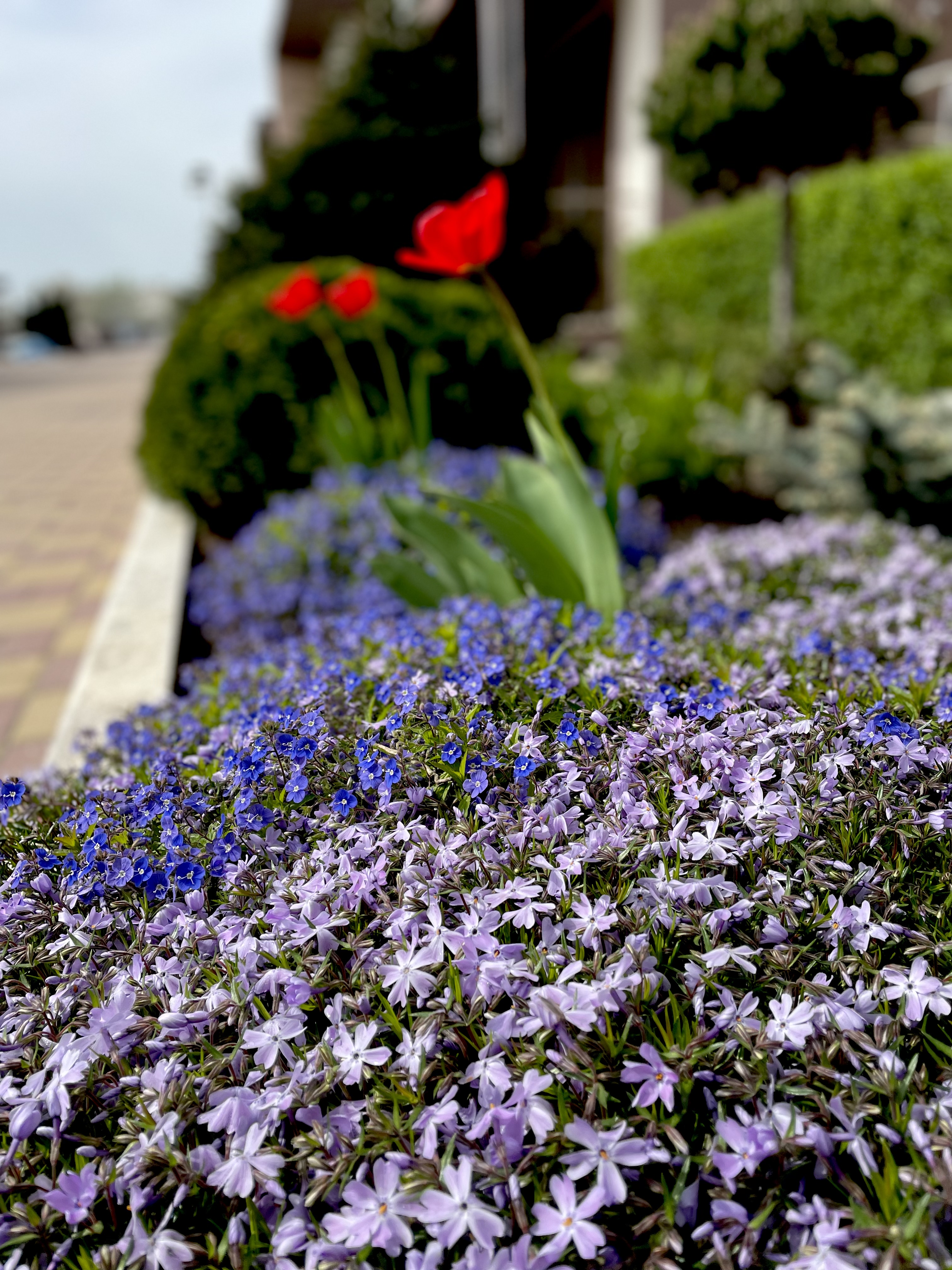 Фото Diamond Park Hotel