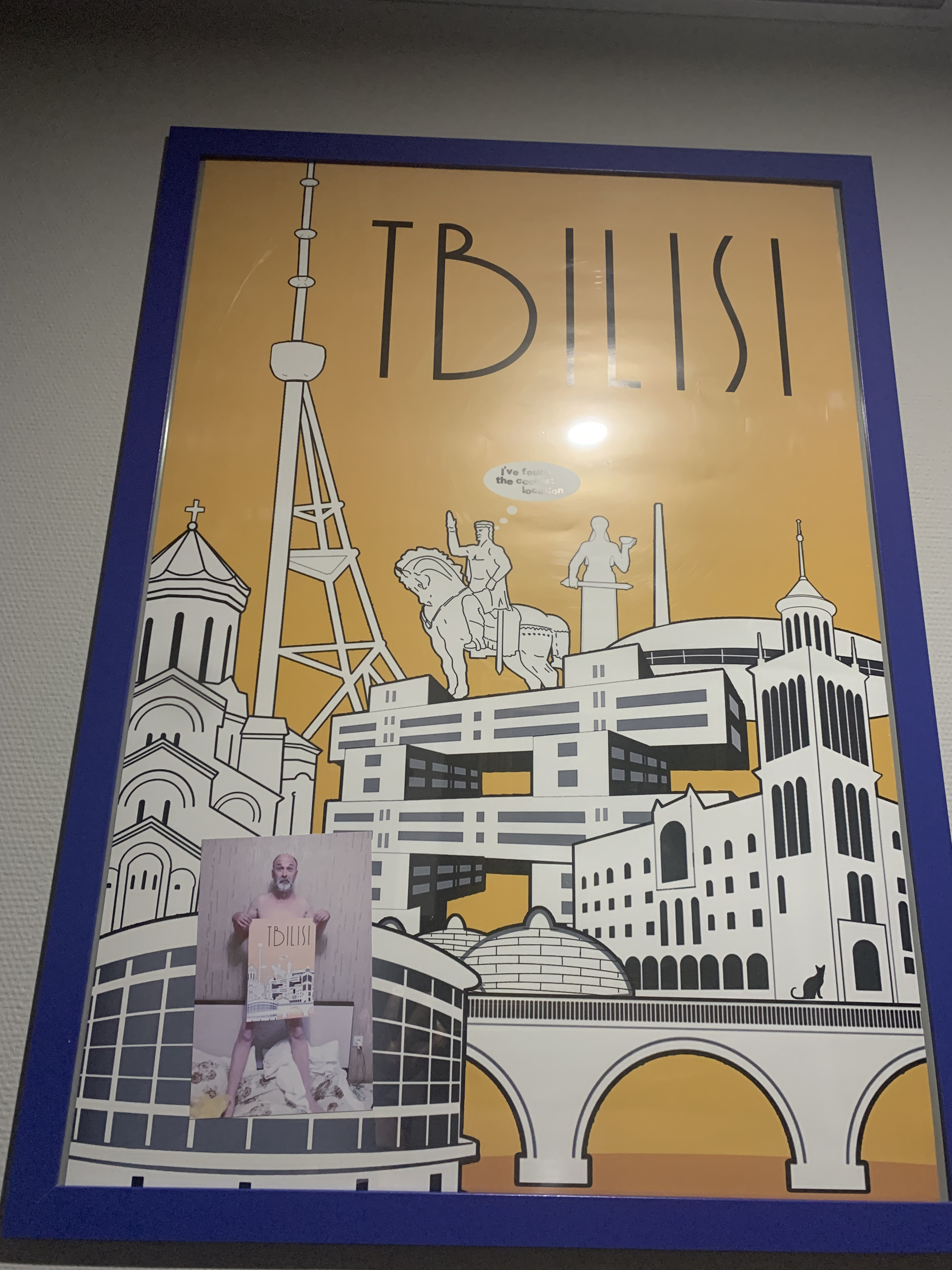 Фото Красный Подсолнух