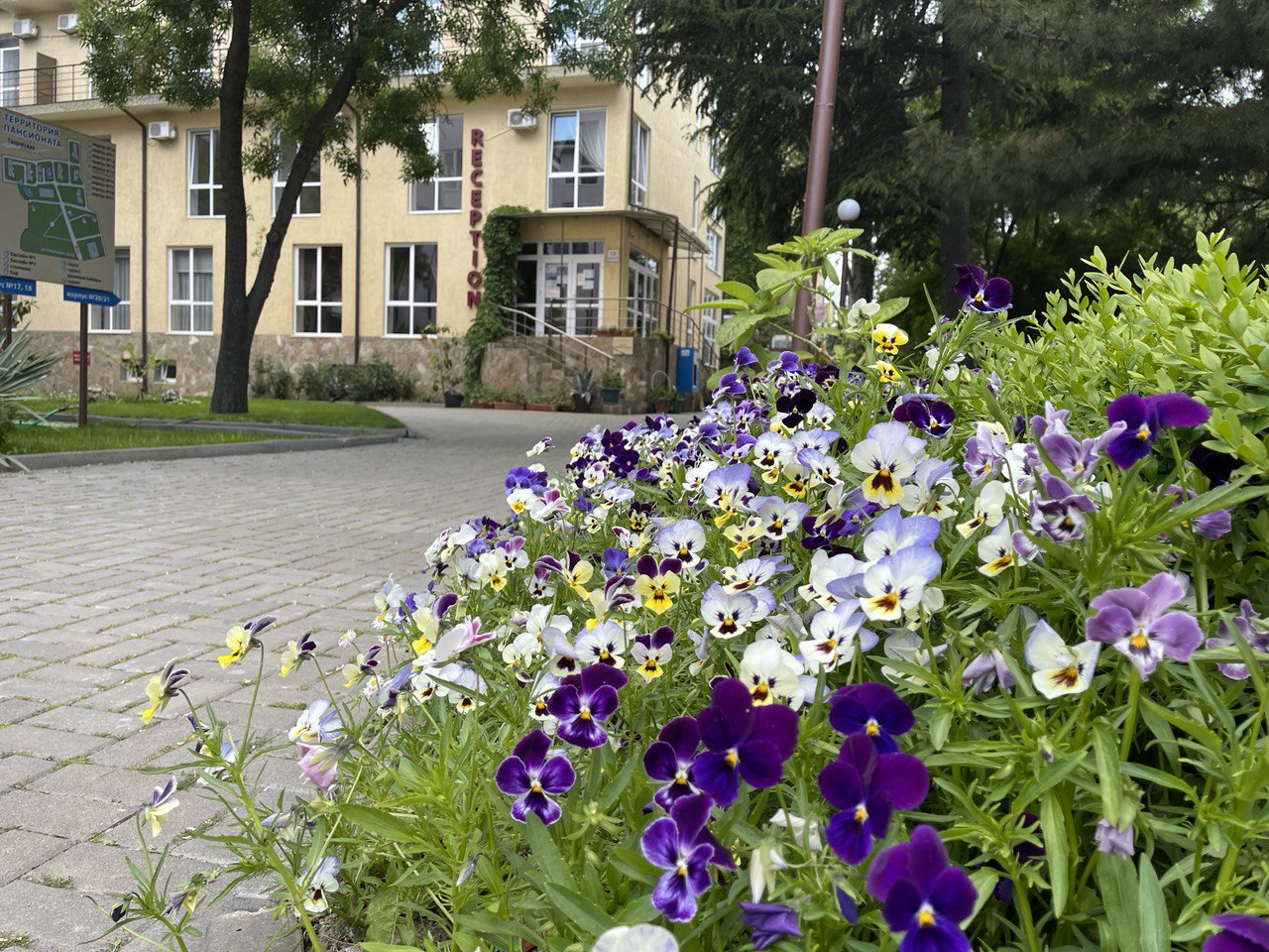 Фото Творческая волна