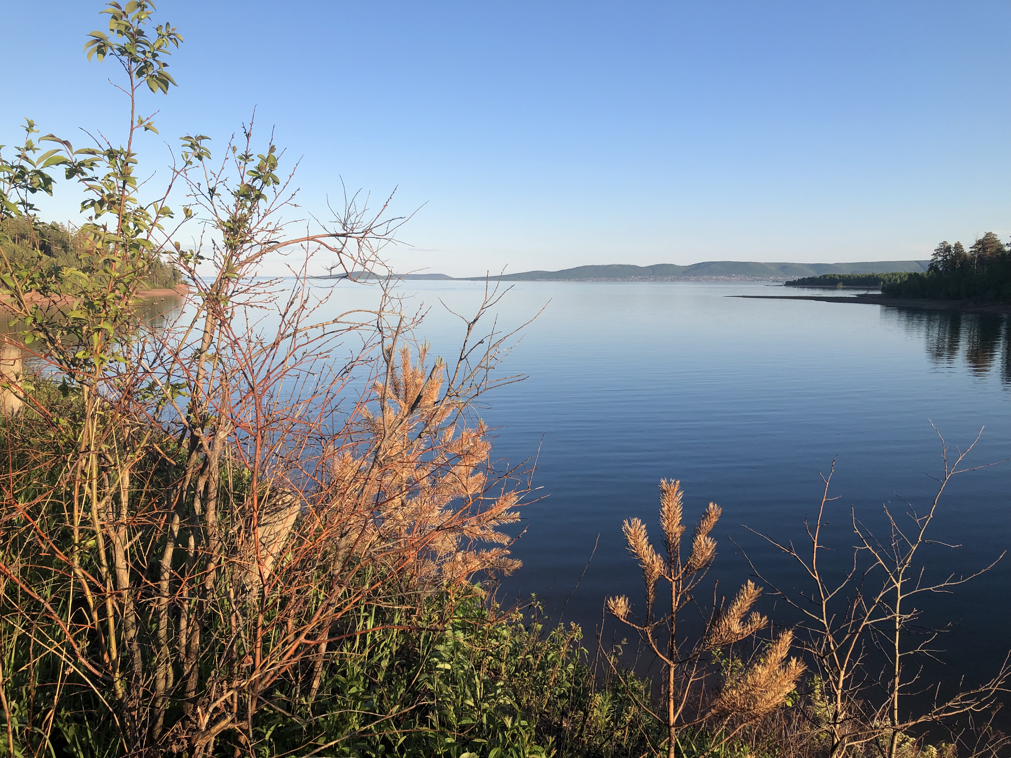 Фото Солнечный