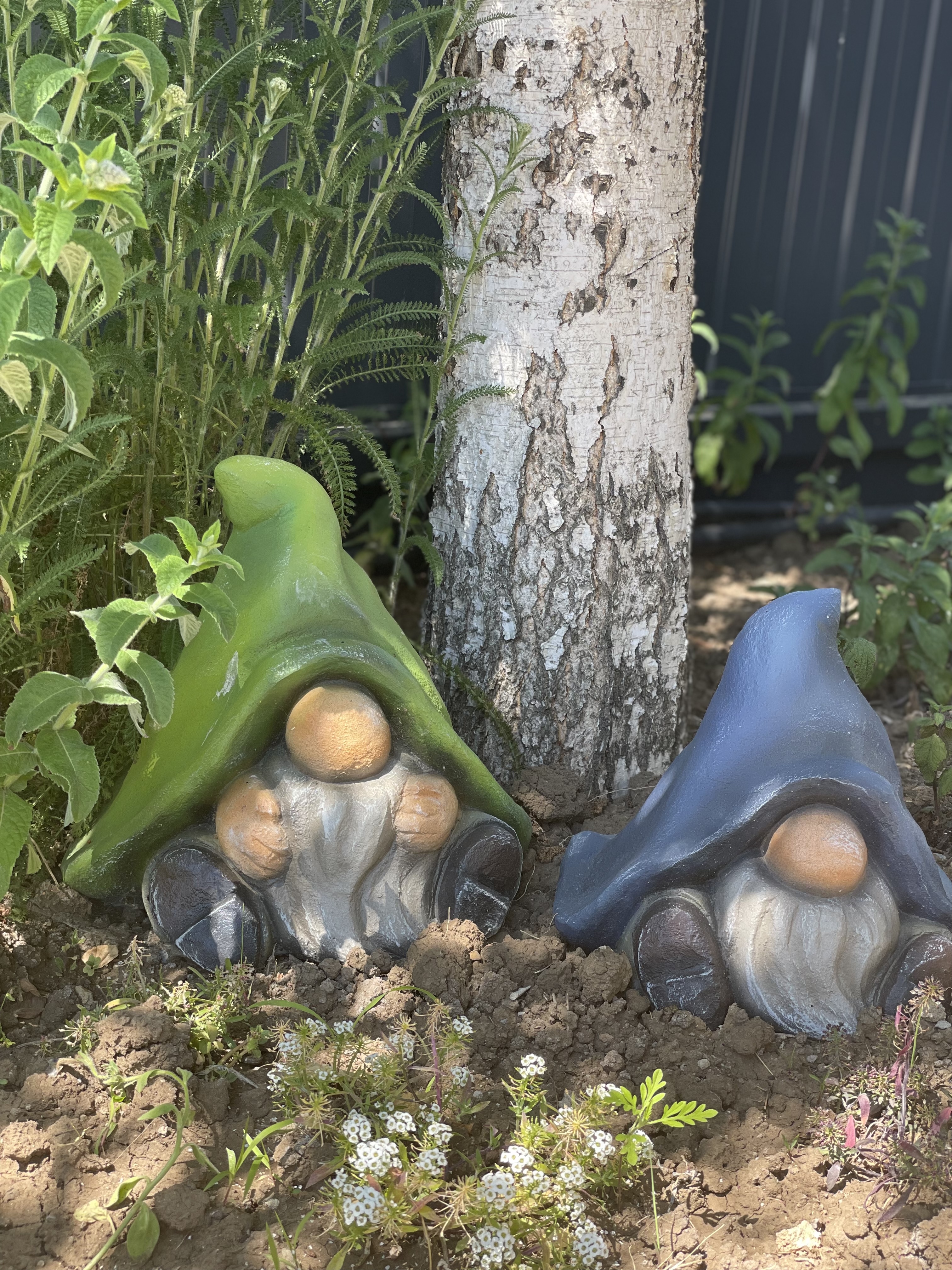 Фото Солнце