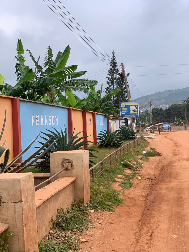 School Feason School, Earth, photo