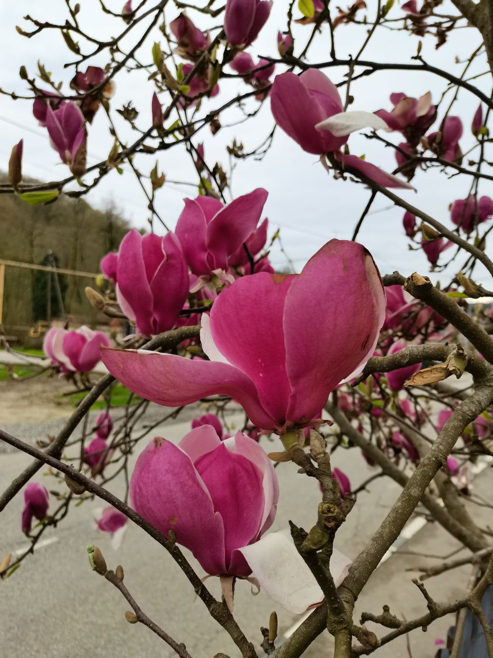 Фото Загородный дом на Мацесте