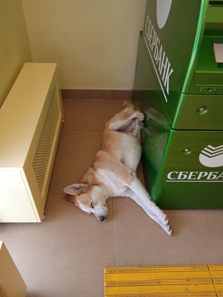 Bank Sberbank, Taganrog, photo
