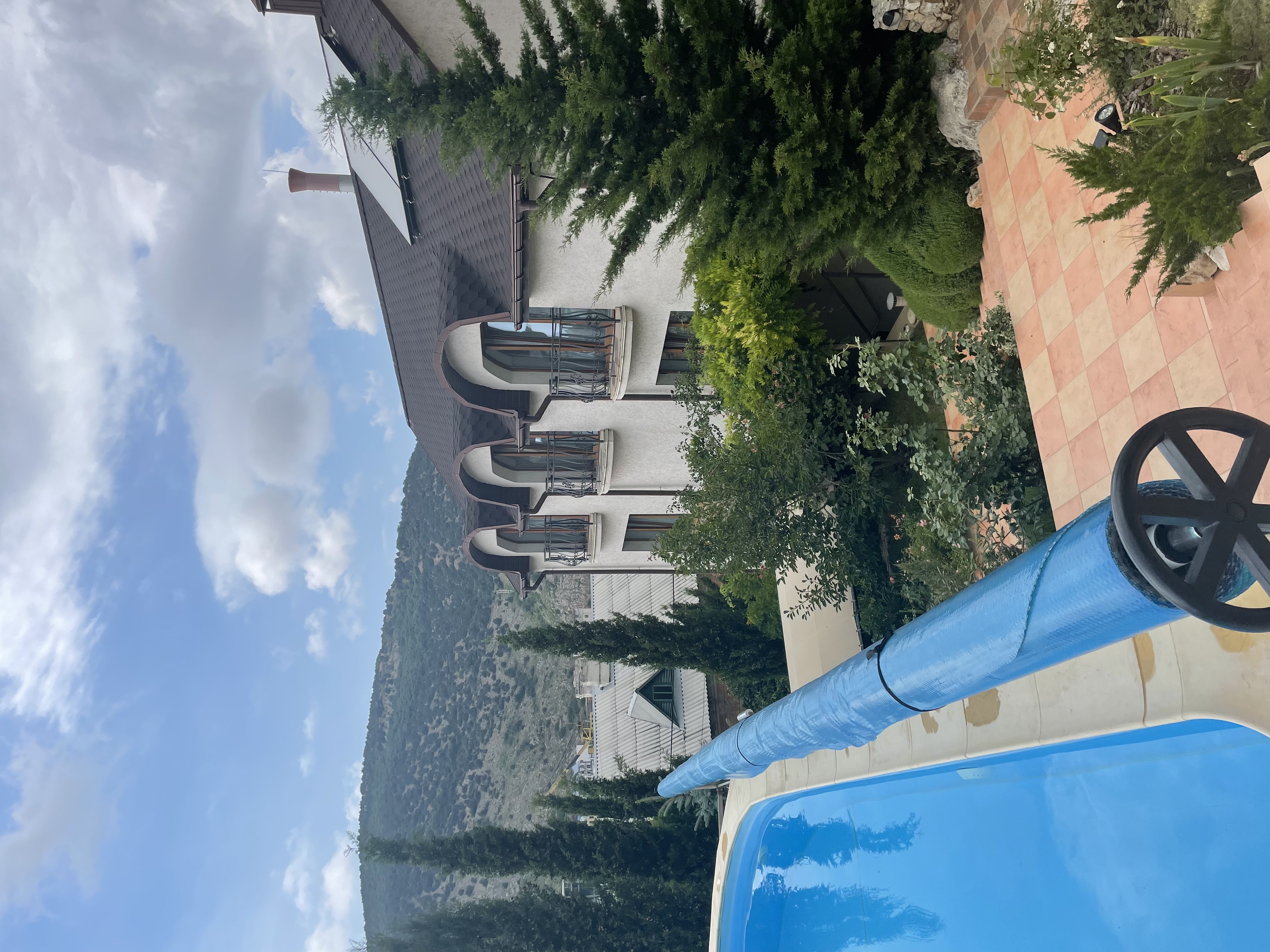 Фото Кипарис