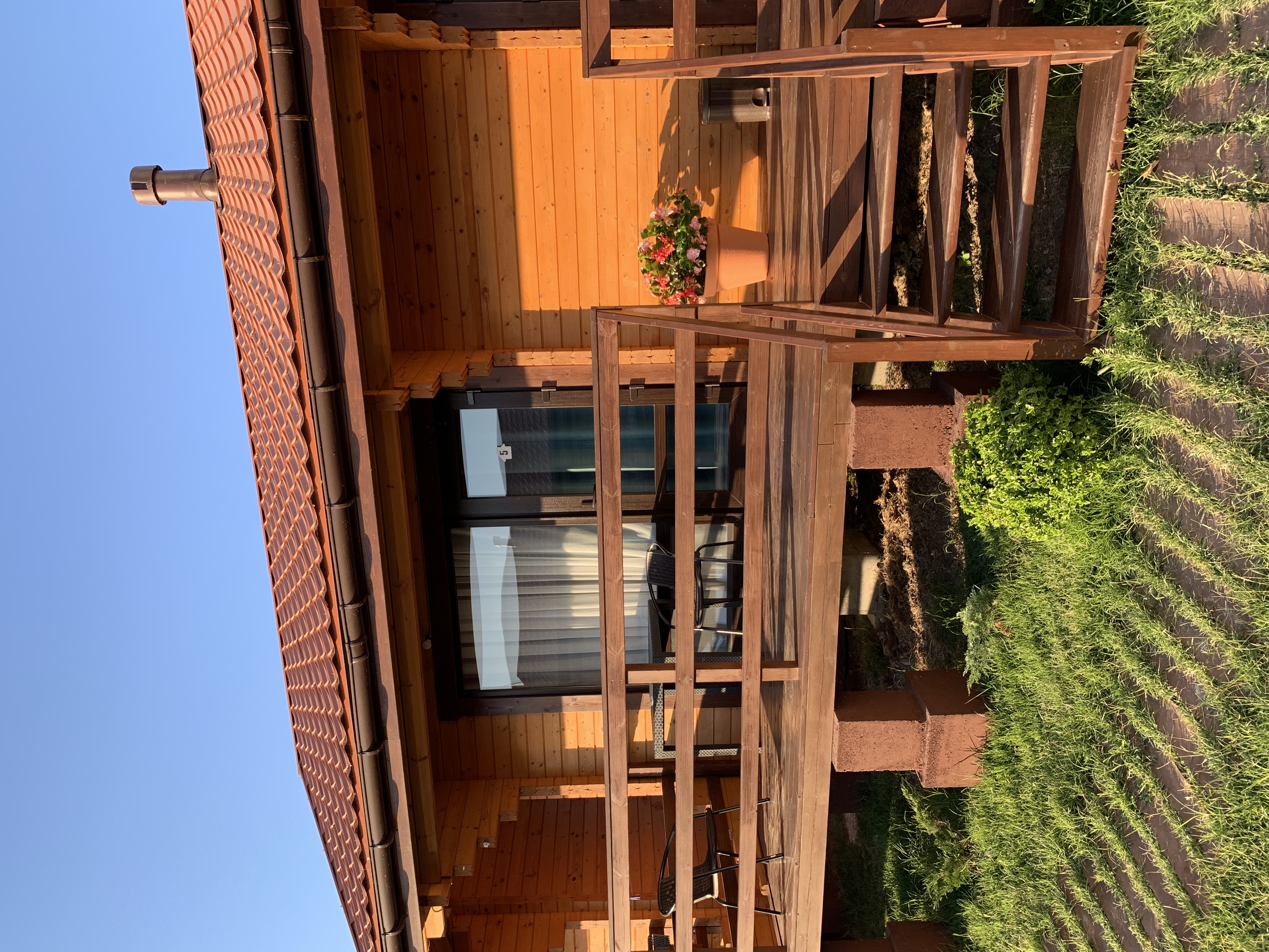 Фото Кактус