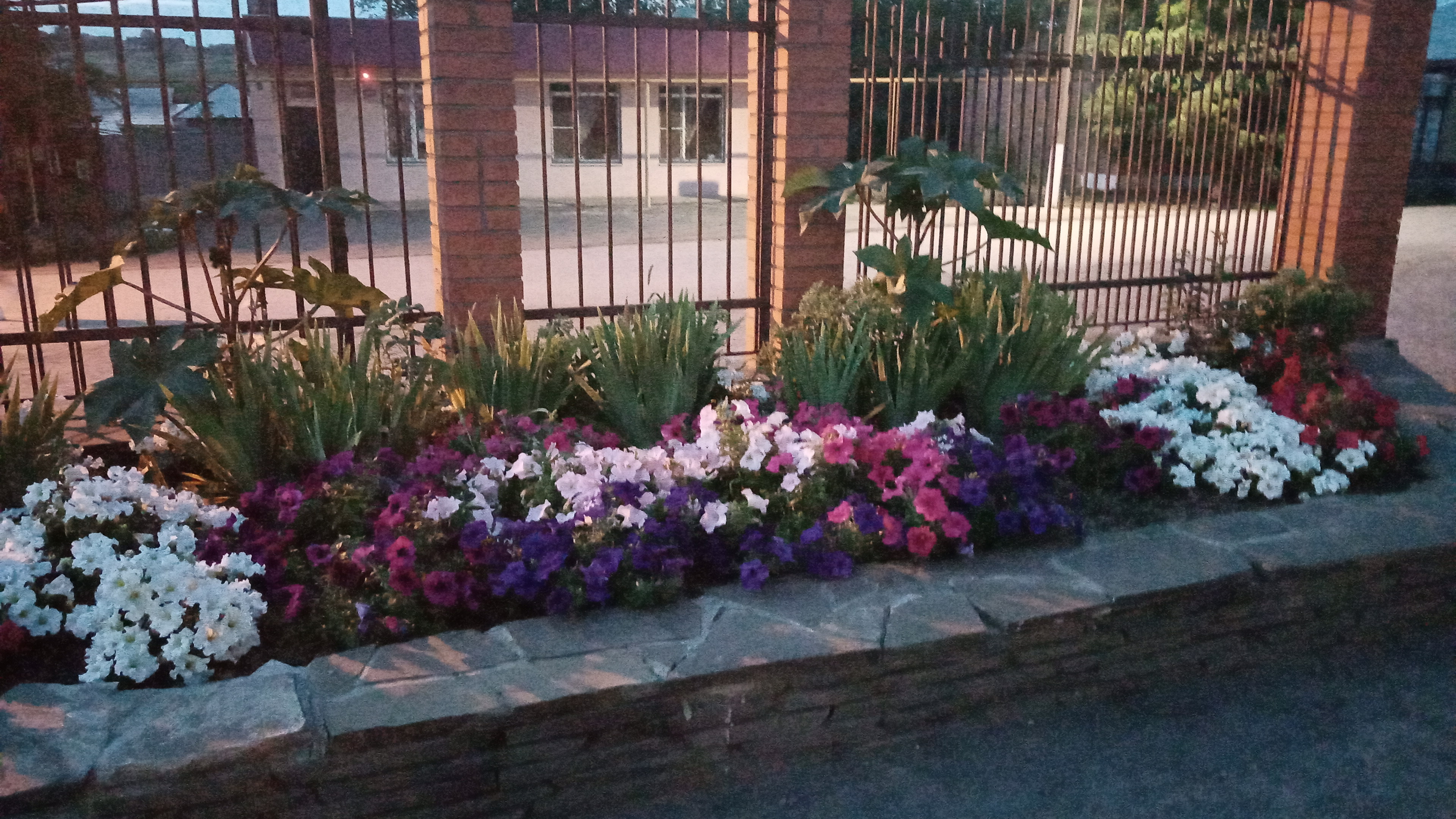 Фото Дубрава