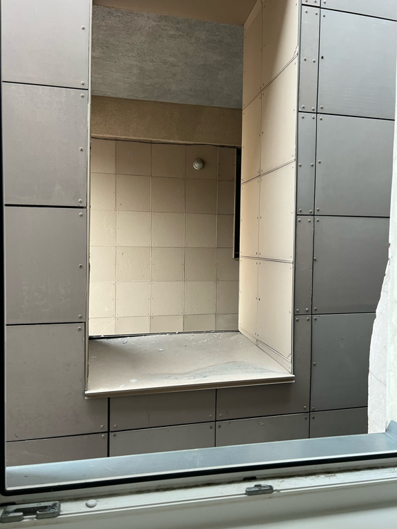 Фото Метелица