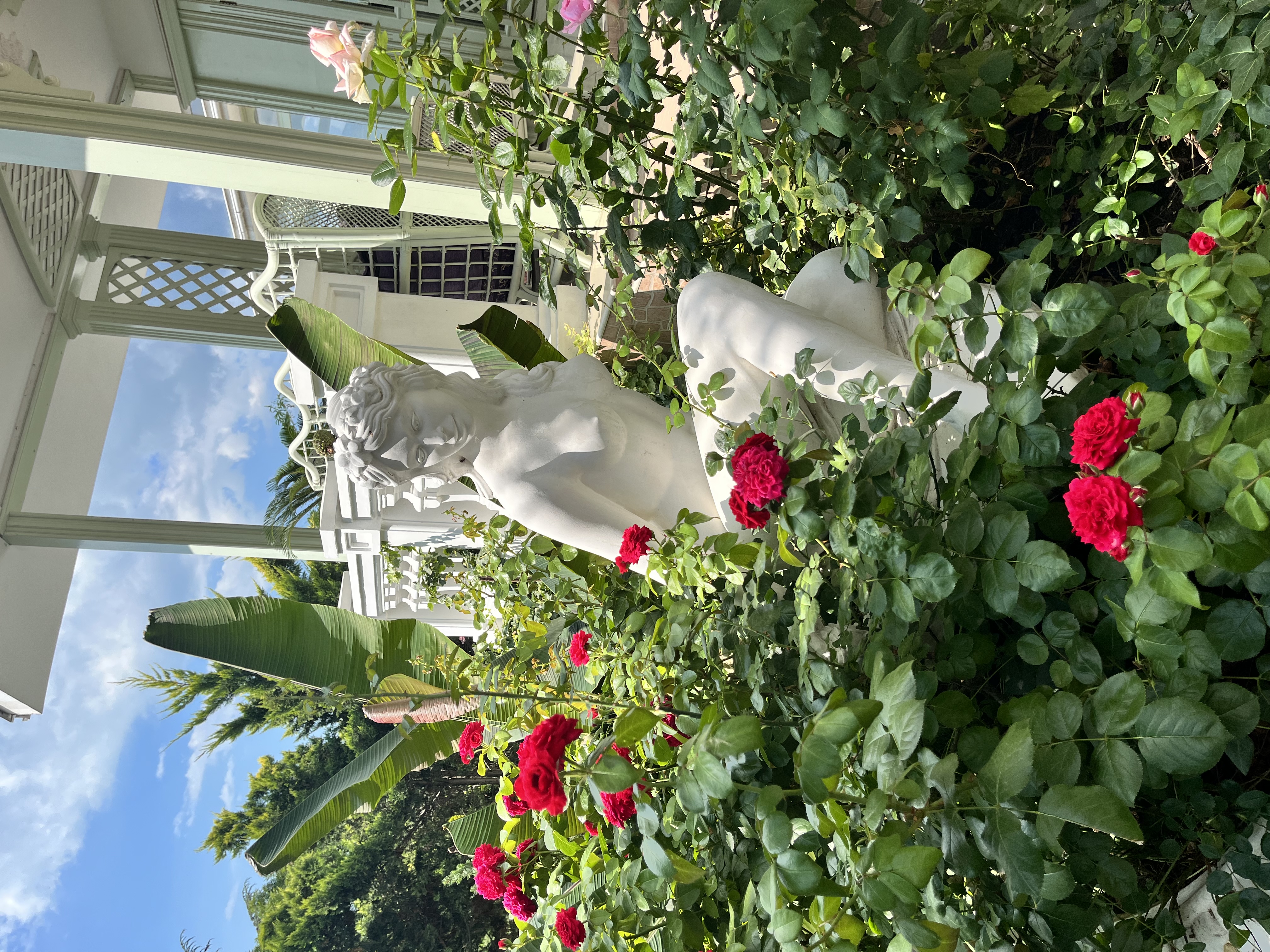 Фото Бон Мезон