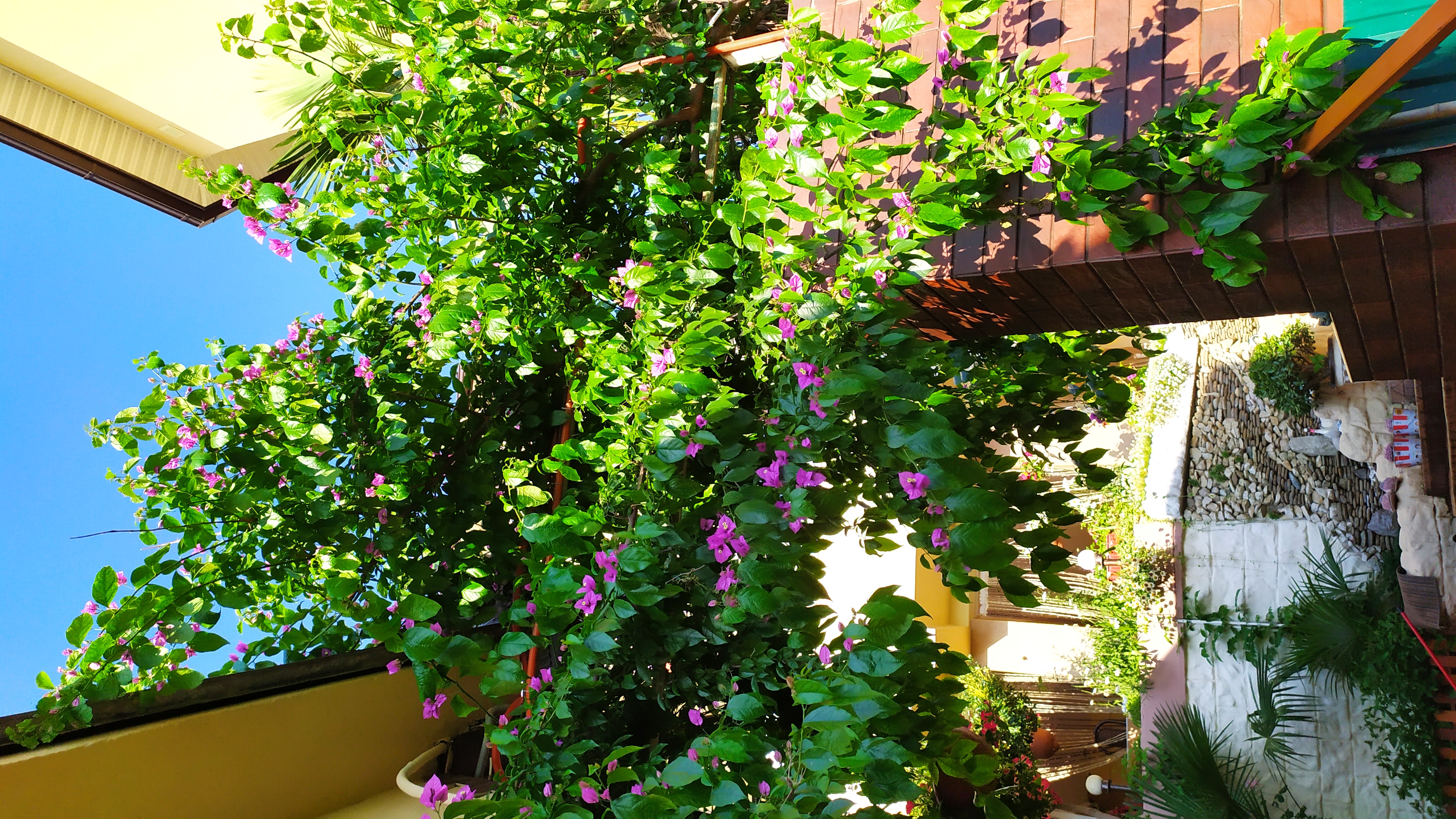 Фото У Луизы