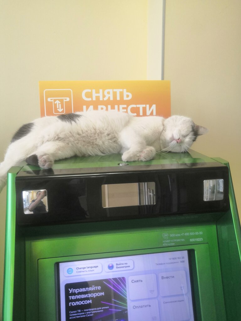 Bank Sberbank, Orsk, photo