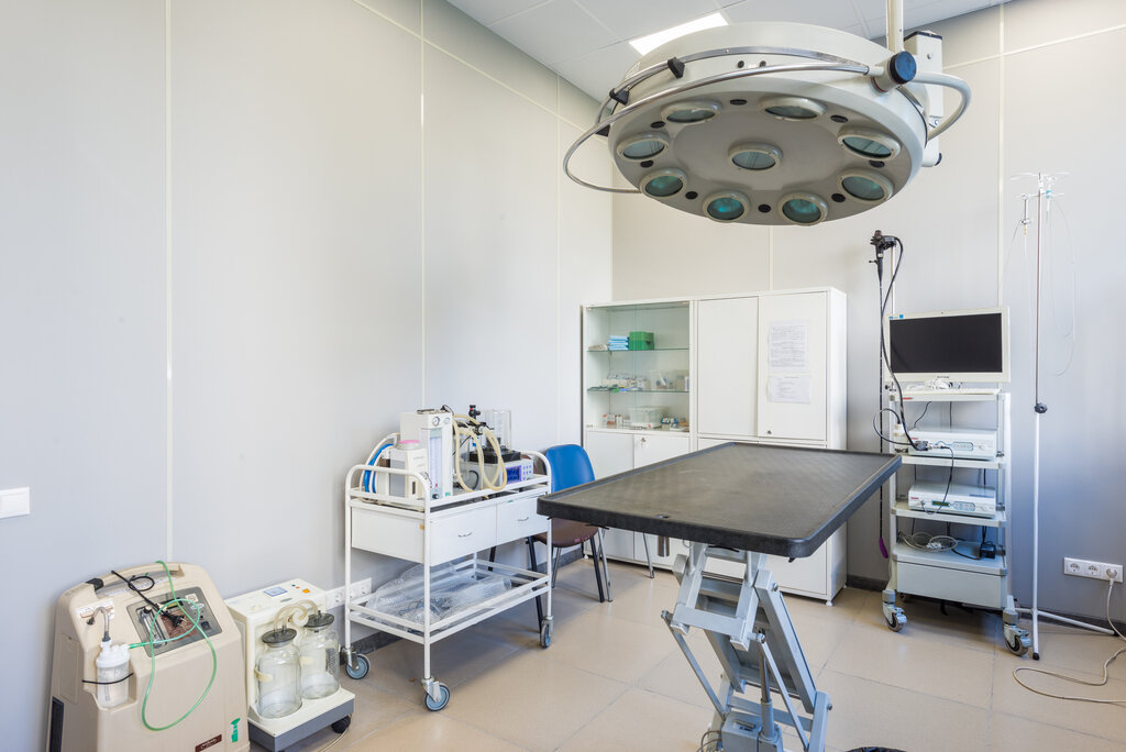 Veterinary clinic Veterinary Center No. 1, Moscow, photo