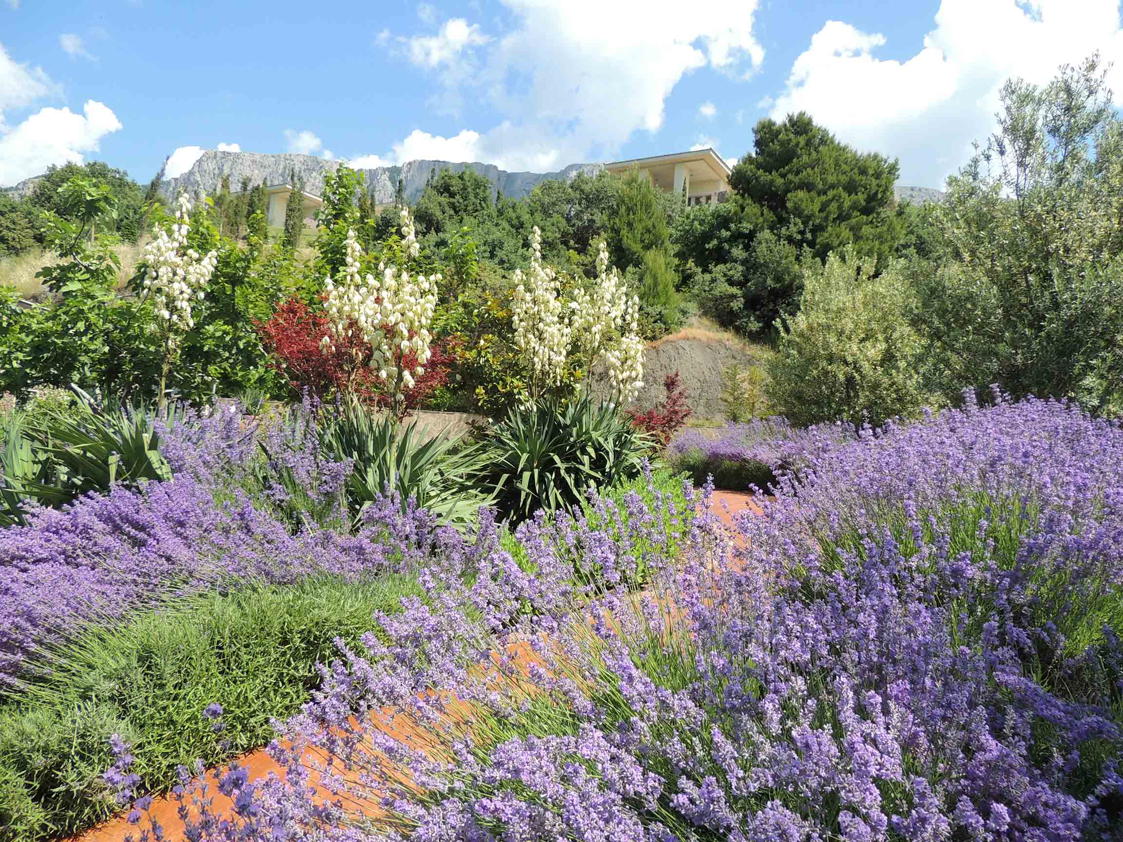 Фото Крымский Бриз