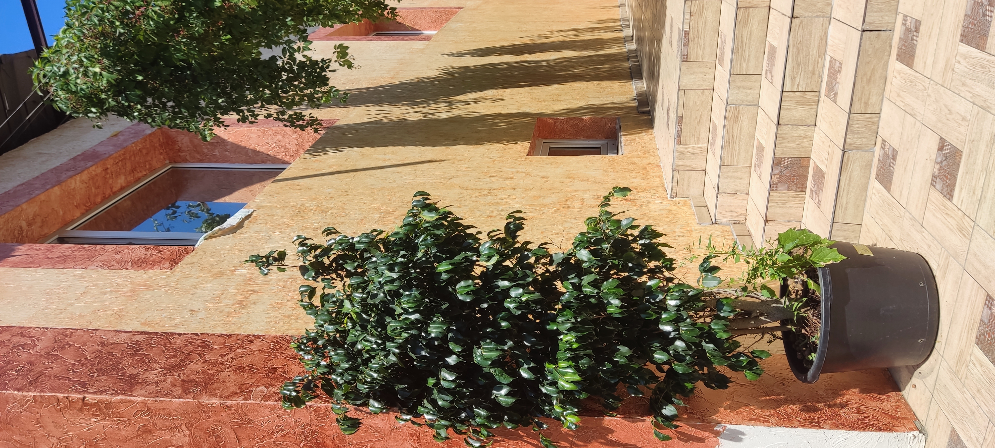 Фото Рандеву