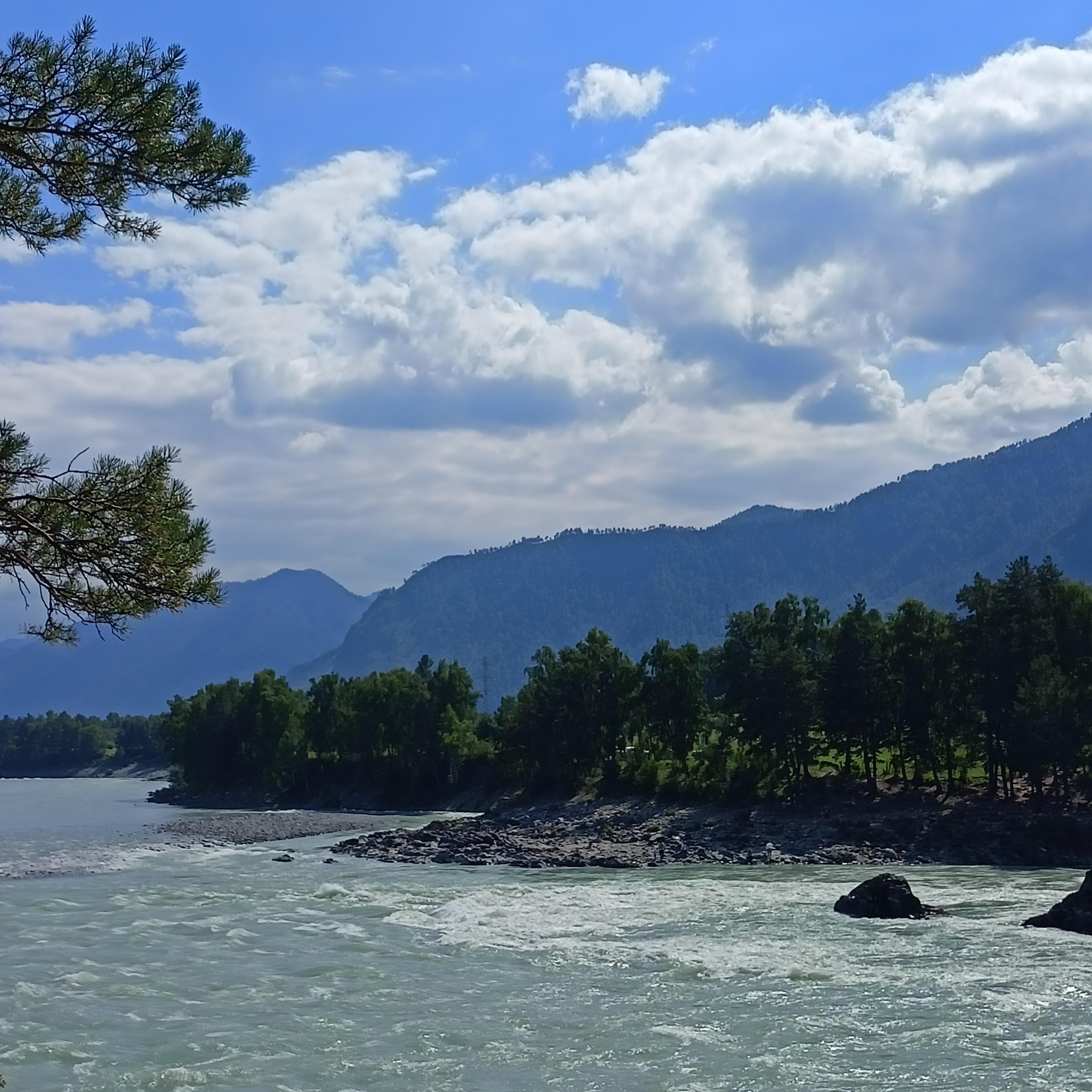 Фото Зубы Дракона