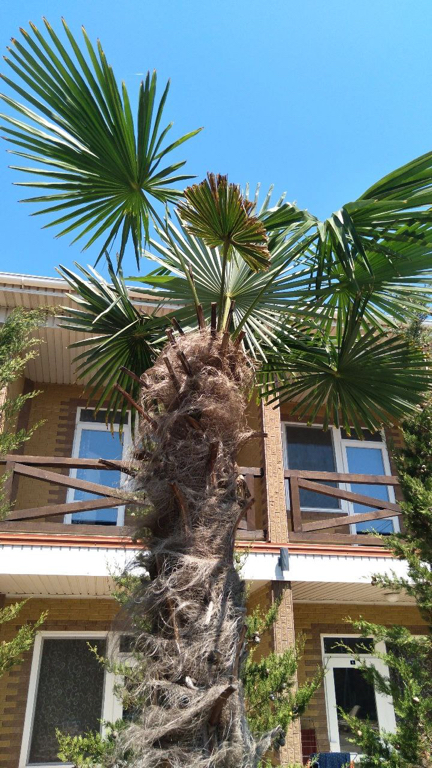 Фото Легенда Крыма