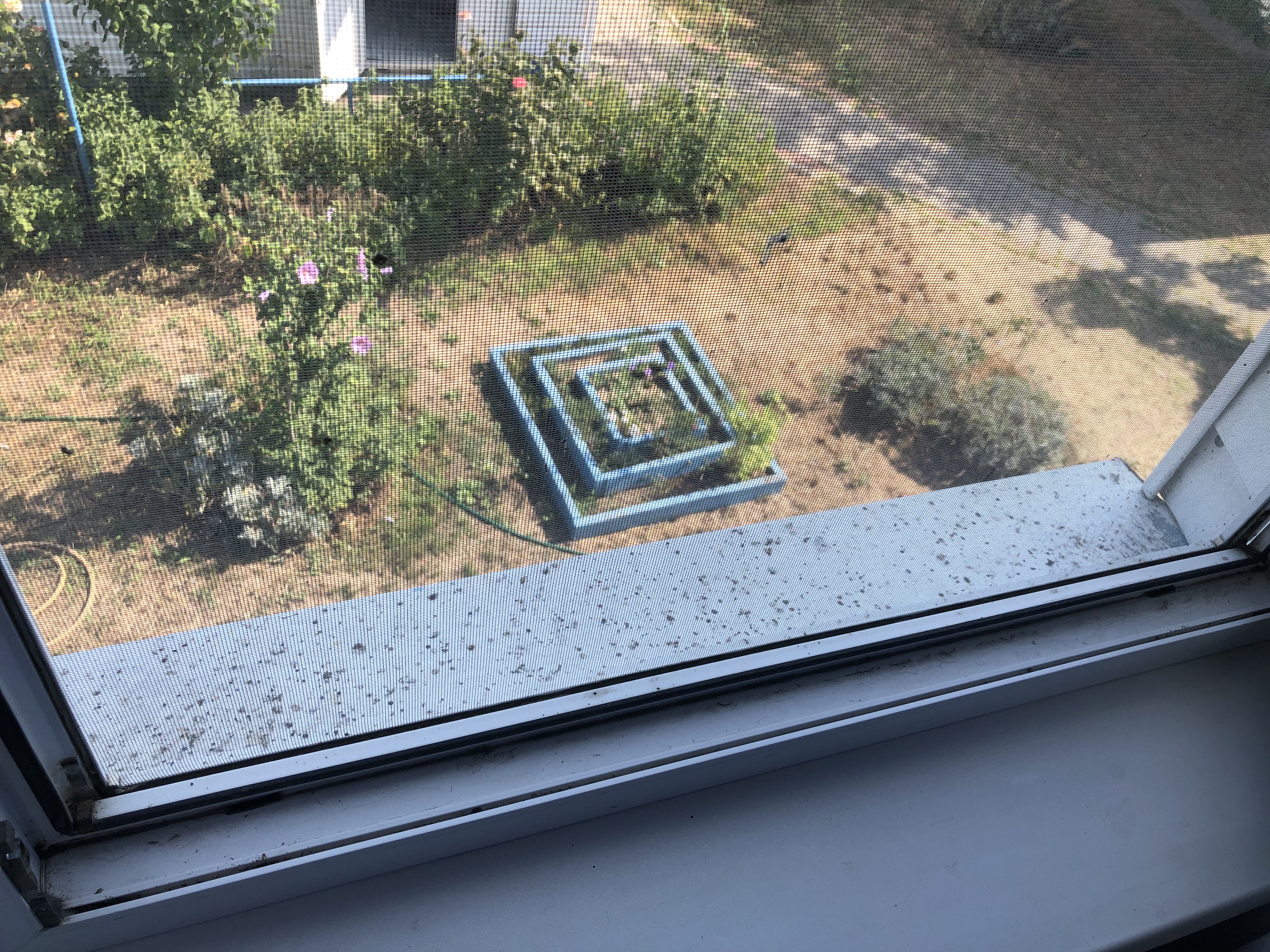 Фото Малахит