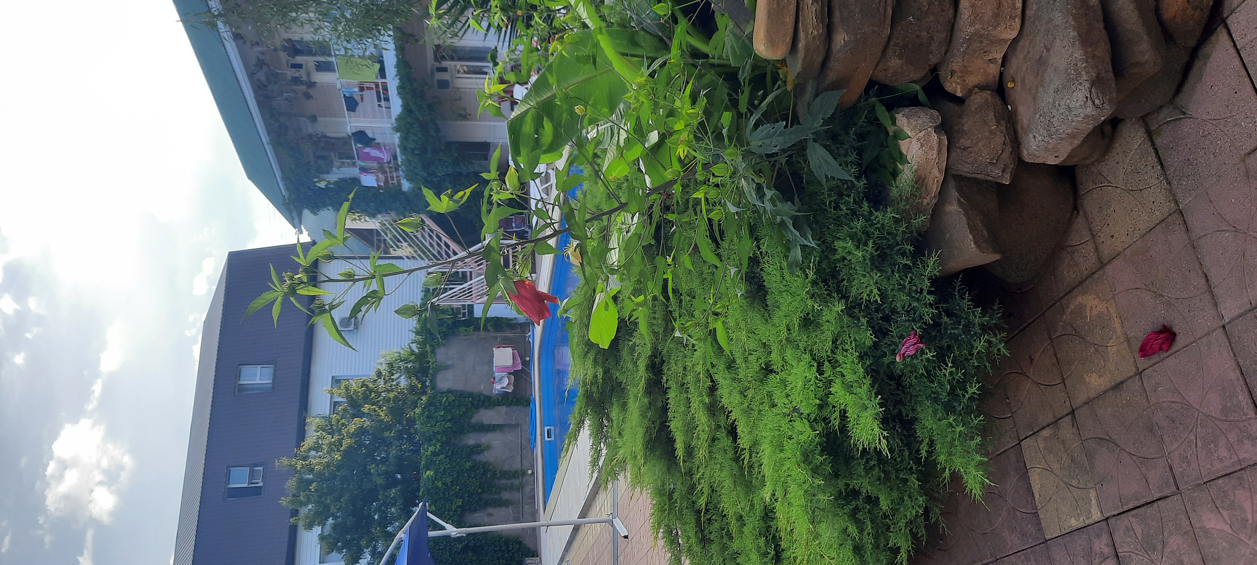 Фото У Петровича