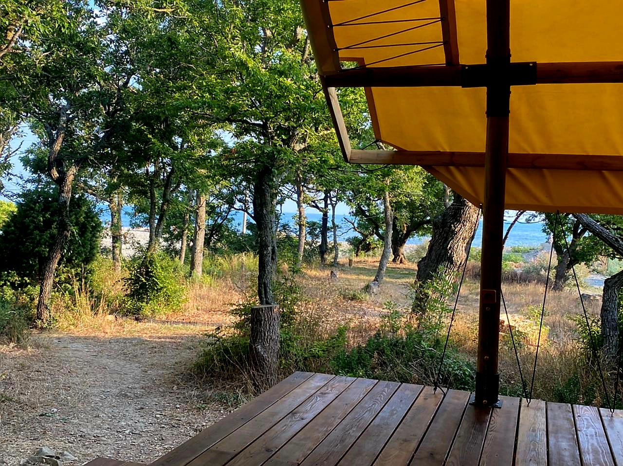 Фото Звезда