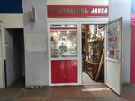Антикварная лавка (просп. Дзержинского, 2, Архангельск), антикварный магазин в Архангельске