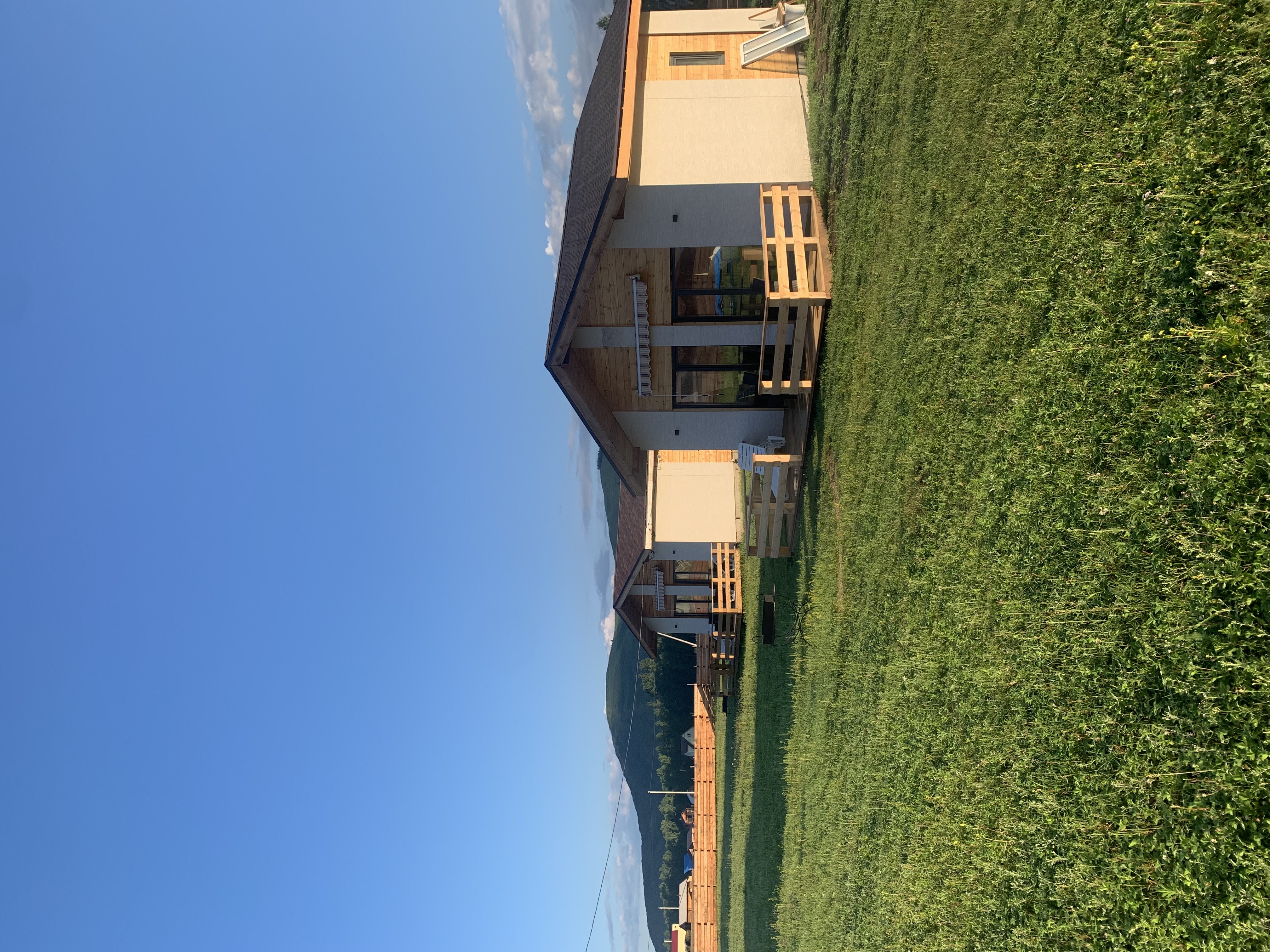 Фото Медуница