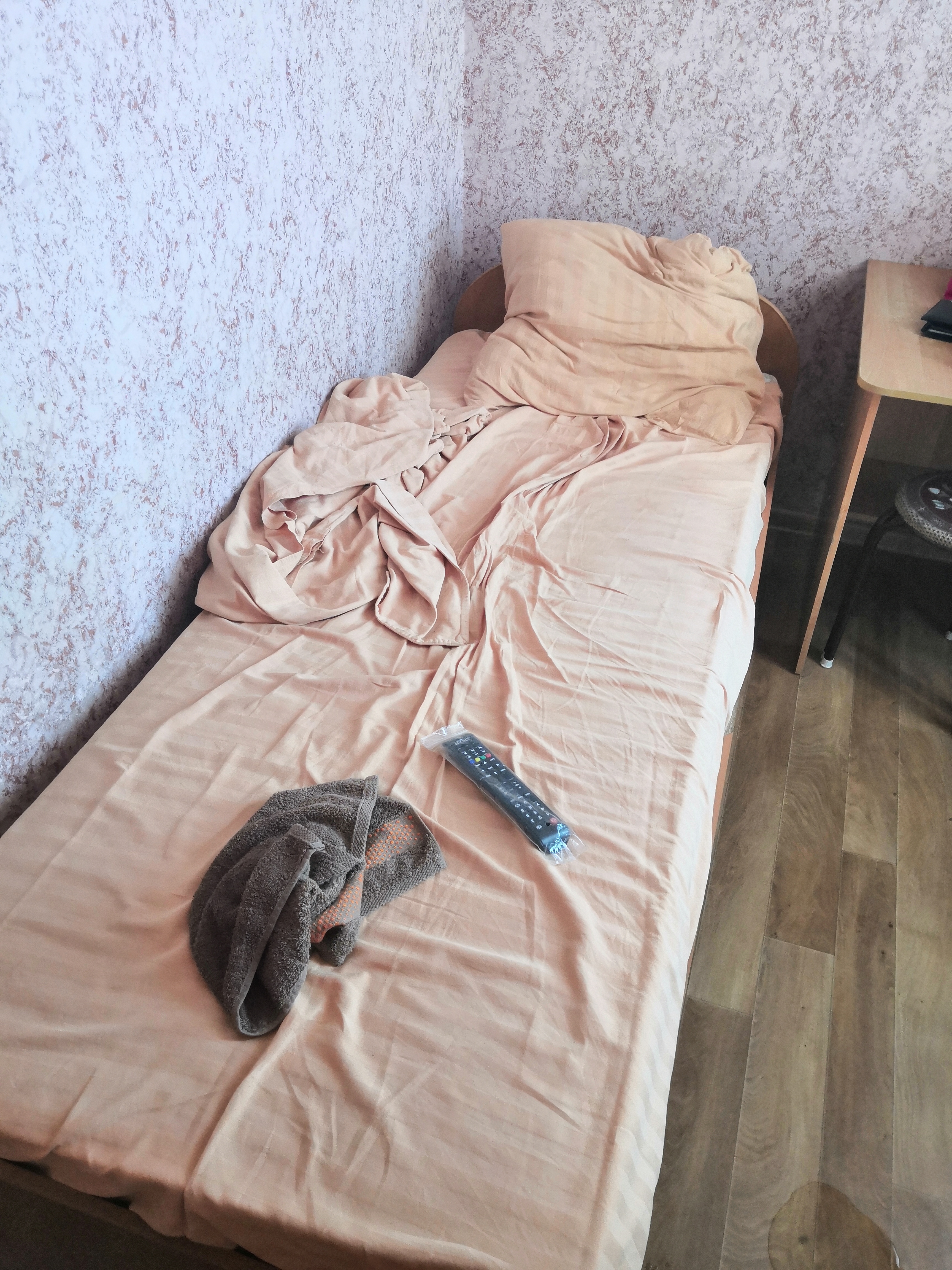 Фото Медведь