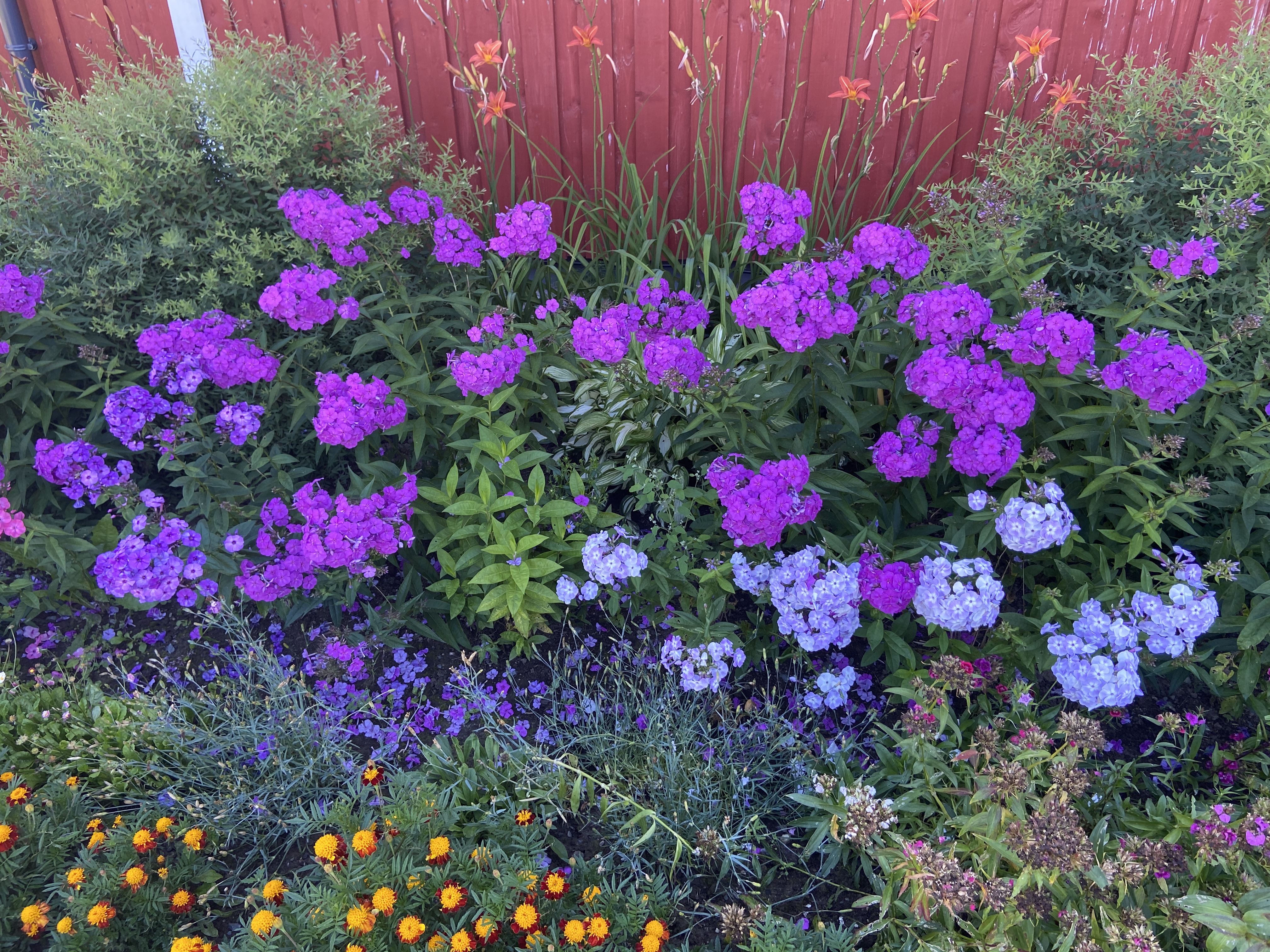 Фото Времена Года