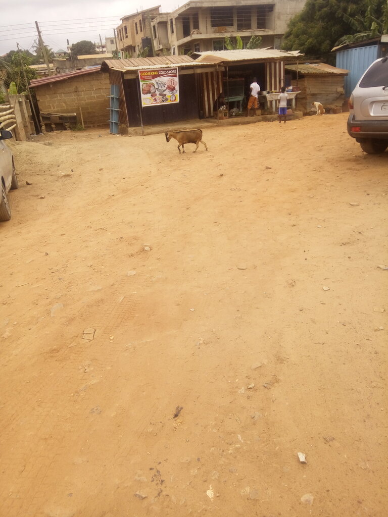 Frozen food products Gid is King Cold Store, Earth, photo