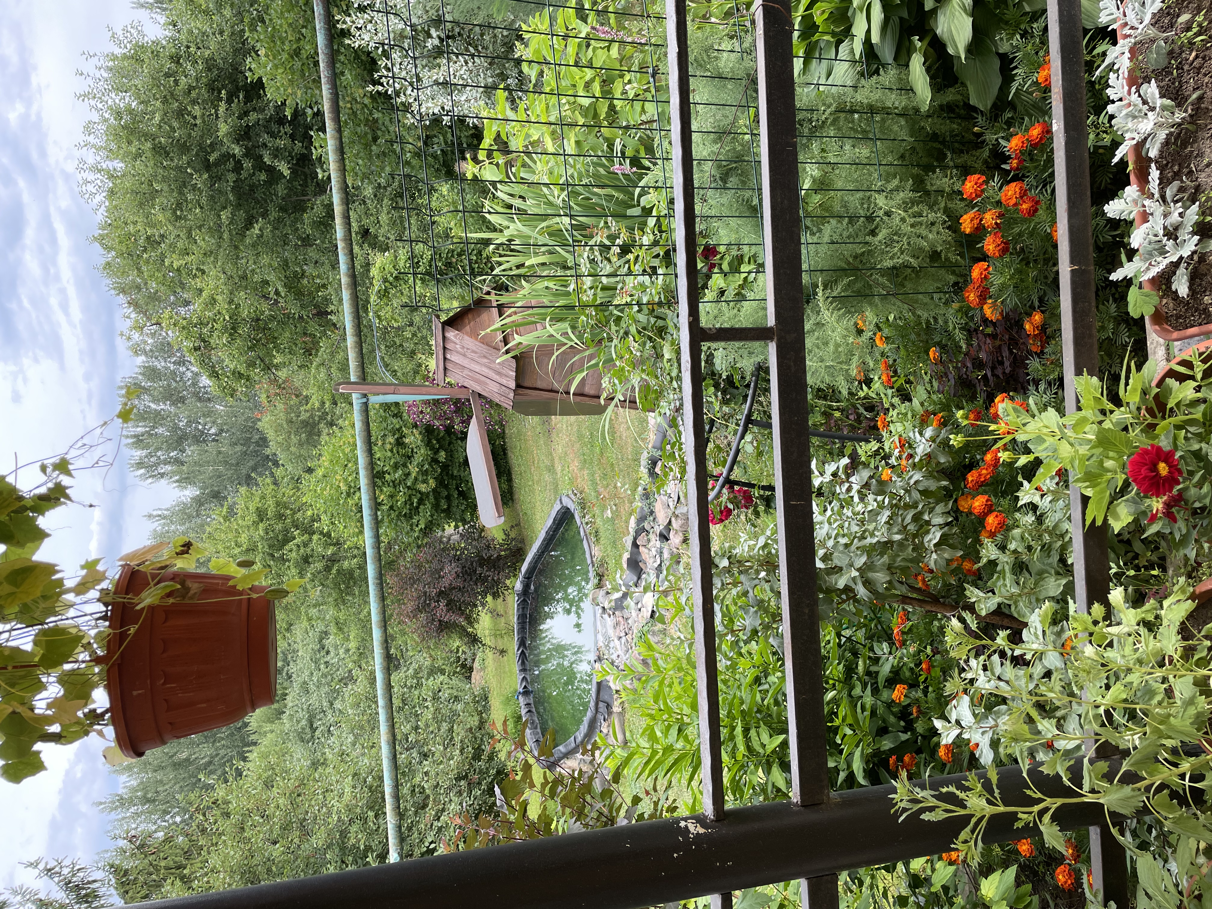 Фото Маришкин дом