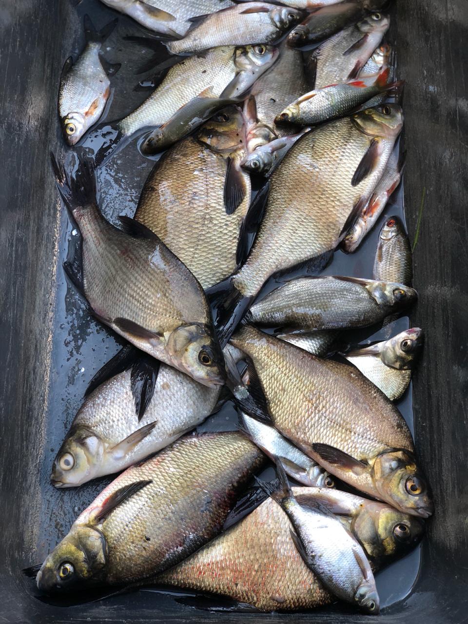 Фото Усадьба Выкопань