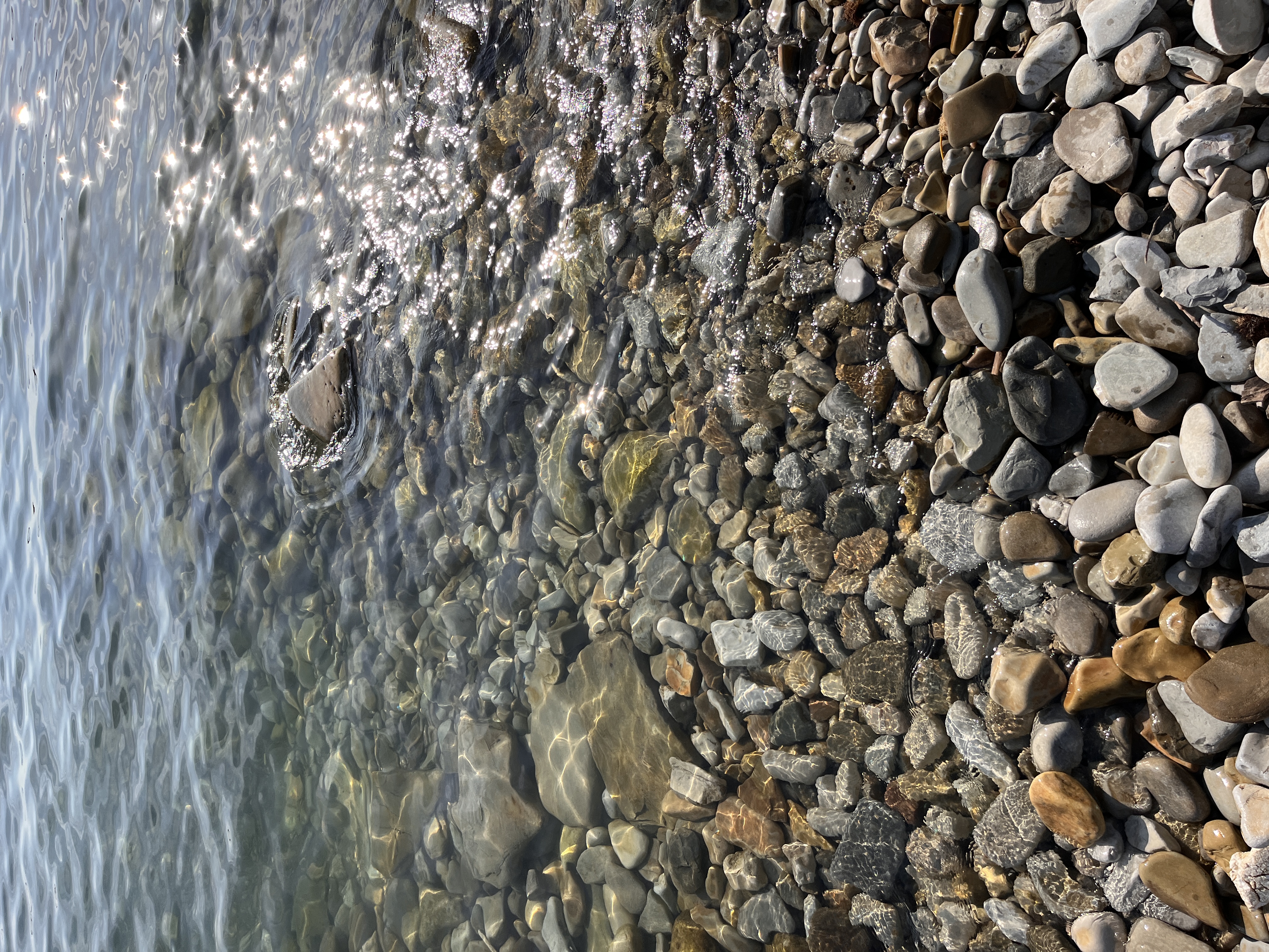 Фото Под соснами