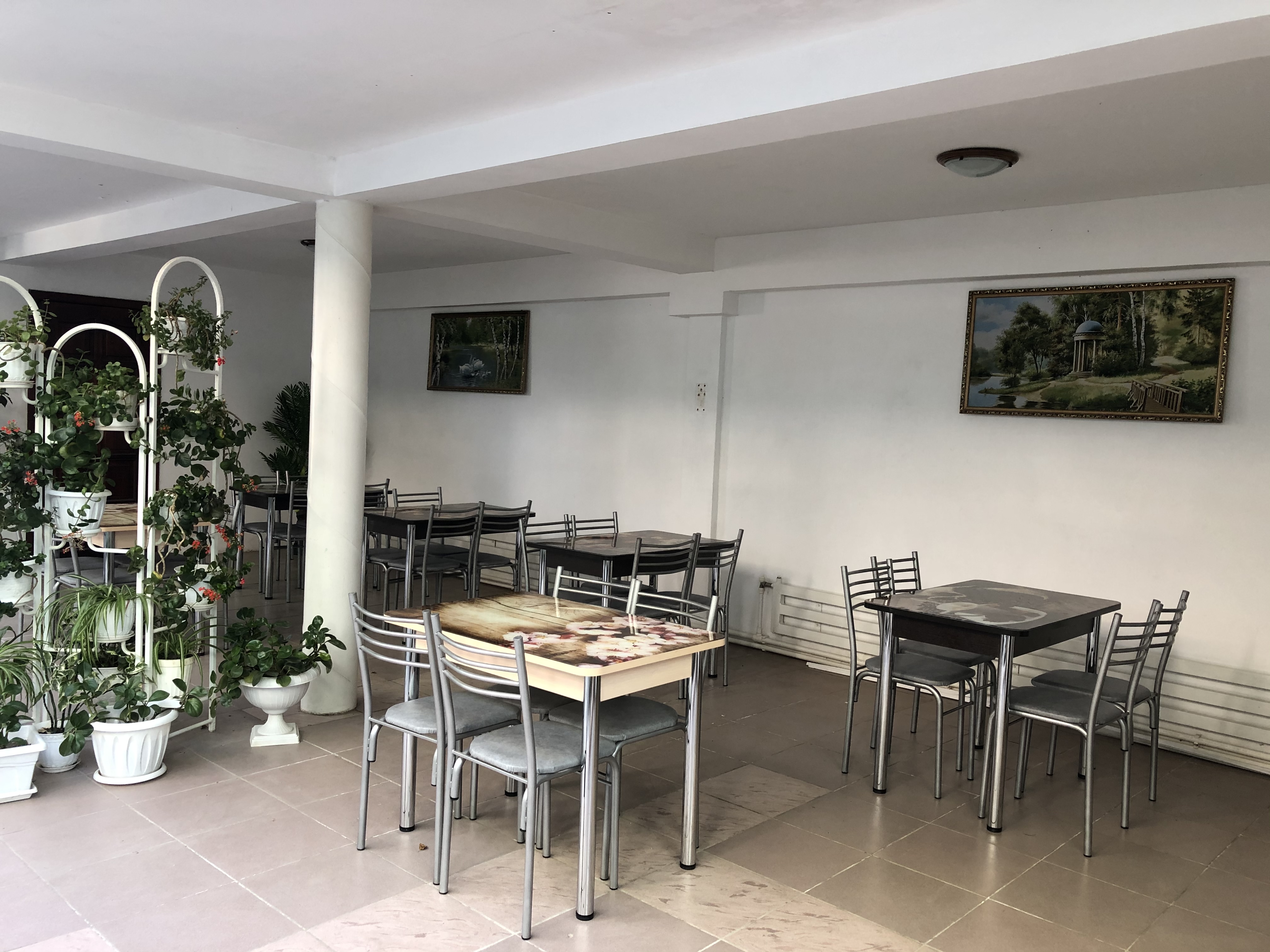 Фото Белая берёза