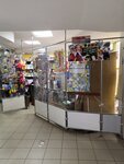 Detskiye igrushki i igry (ulitsa Kulakhmetova, 31), toys and games