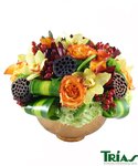 Trias Flowers & Gifts (Florida, Miami-Dade County, Miami), flowers and bouquets delivery
