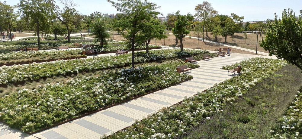 Фото Лазурный