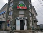 Алма (Lokomotivnaya Street, 2Б), grocery