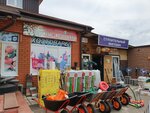 Магазин продуктов (selo Mikulino, Sadovaya ulitsa, 1), grocery