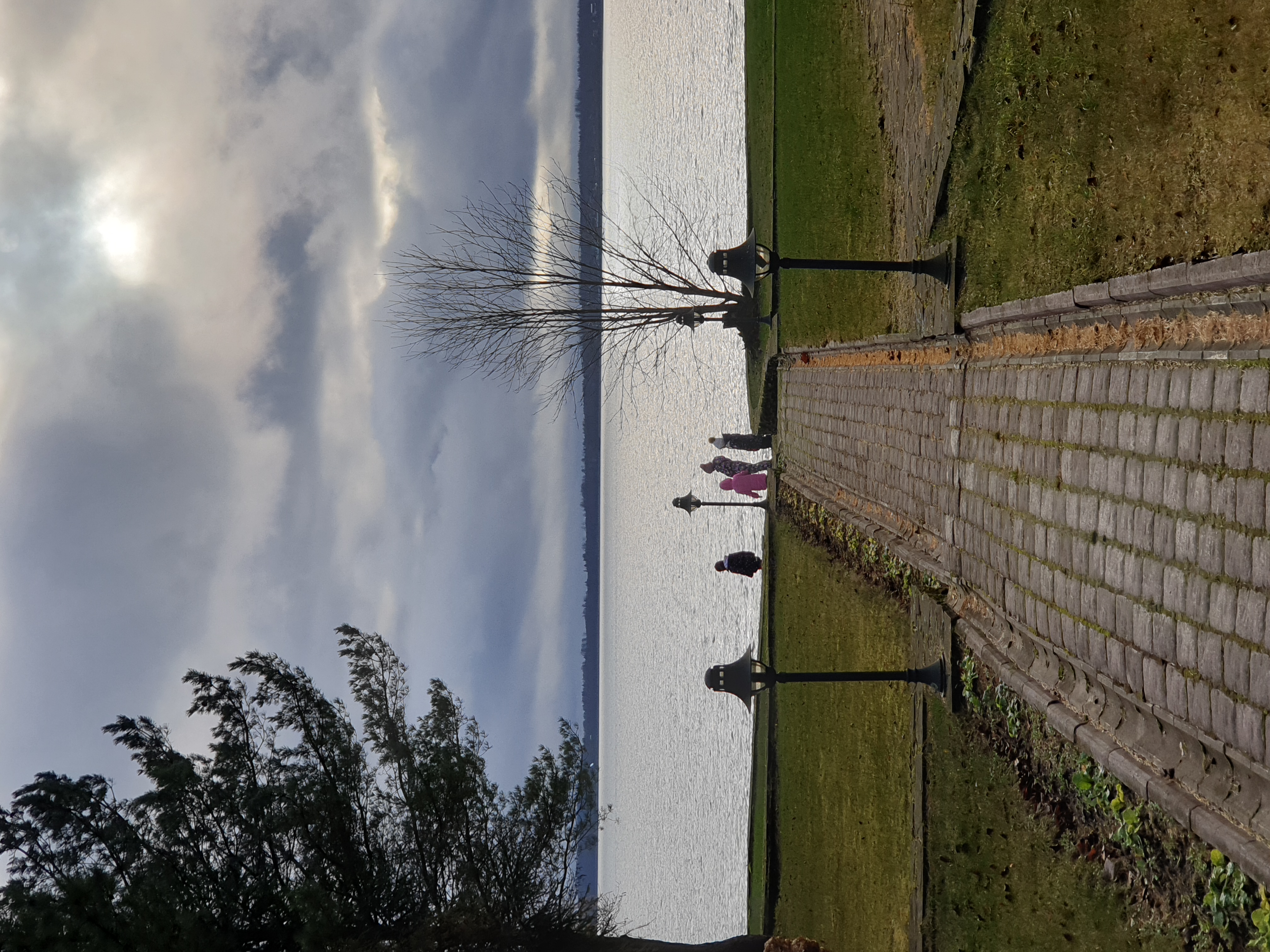 Фото Экокомплекс СДЛ